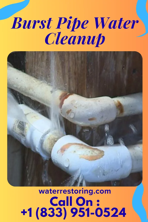 Burst Pipe Water Cleanup in San Mar, MD