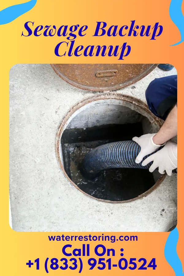 Sewage Backup Cleanup in San Mar, MD
