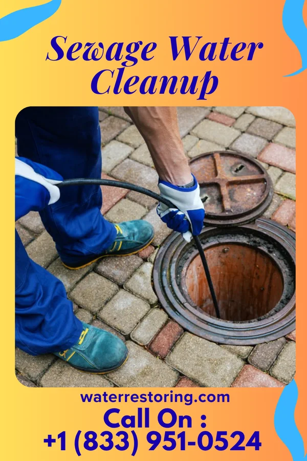 Sewage Water Cleanup in San Mar, MD